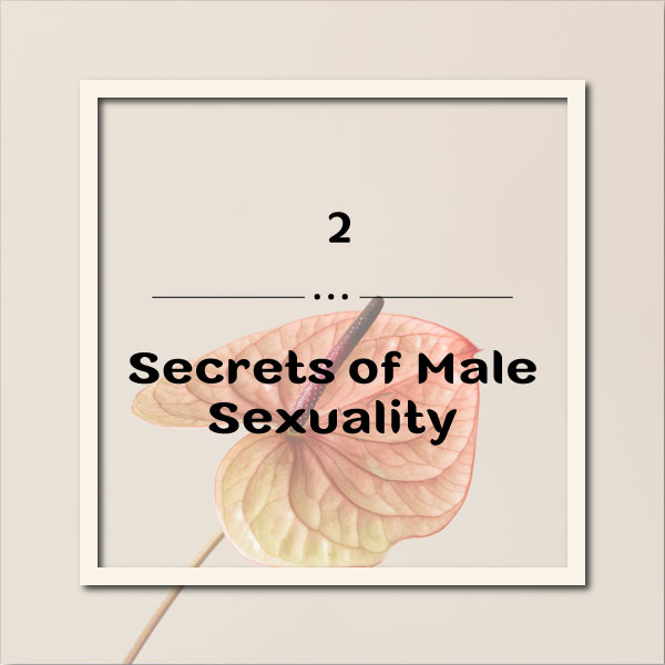 Secrets of male sexuality 